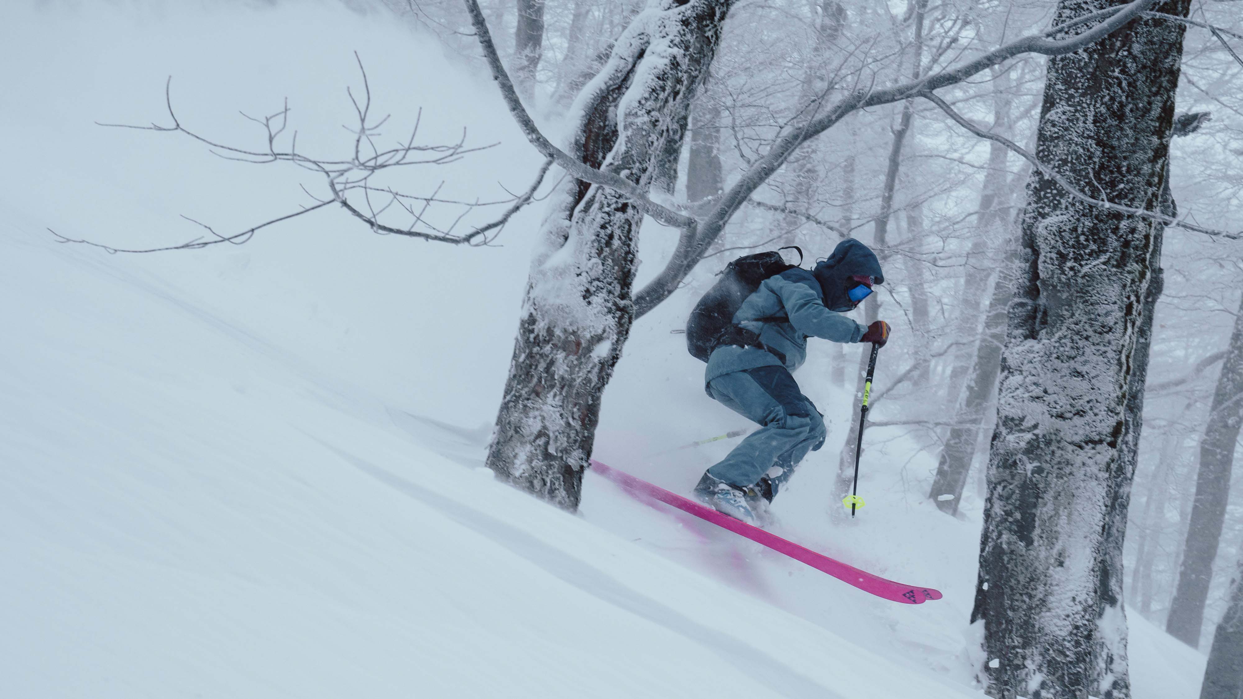 Corvus Freebird - Image 5