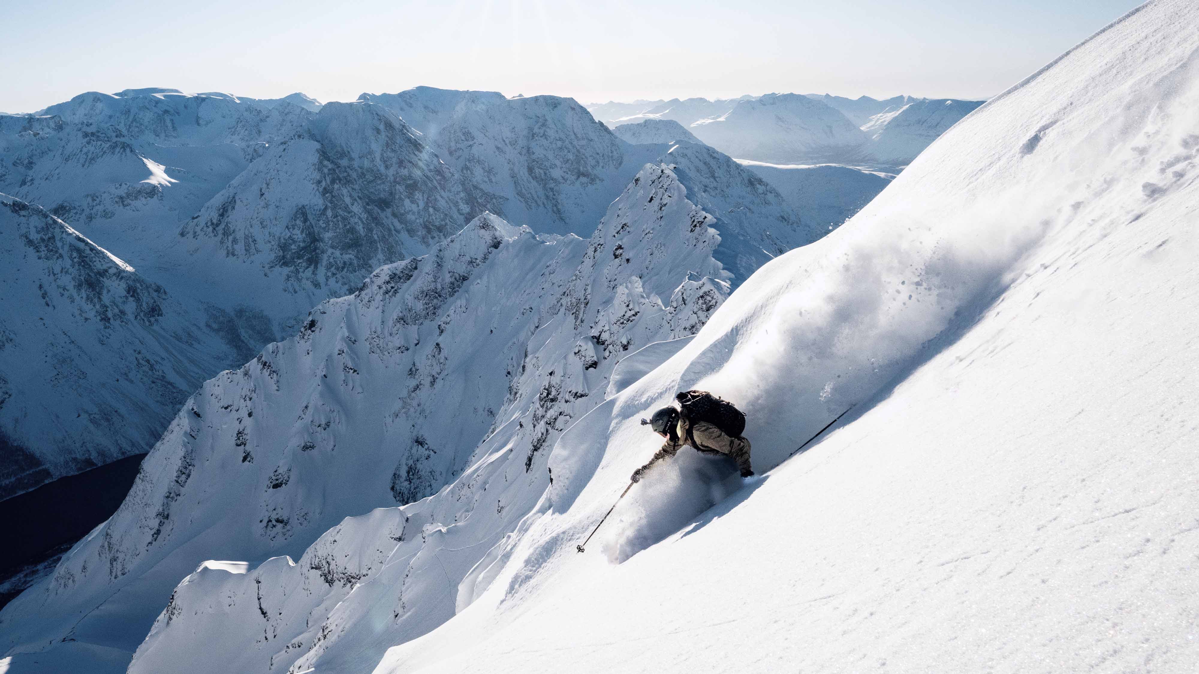 Duos Freebird Poles - Image 16