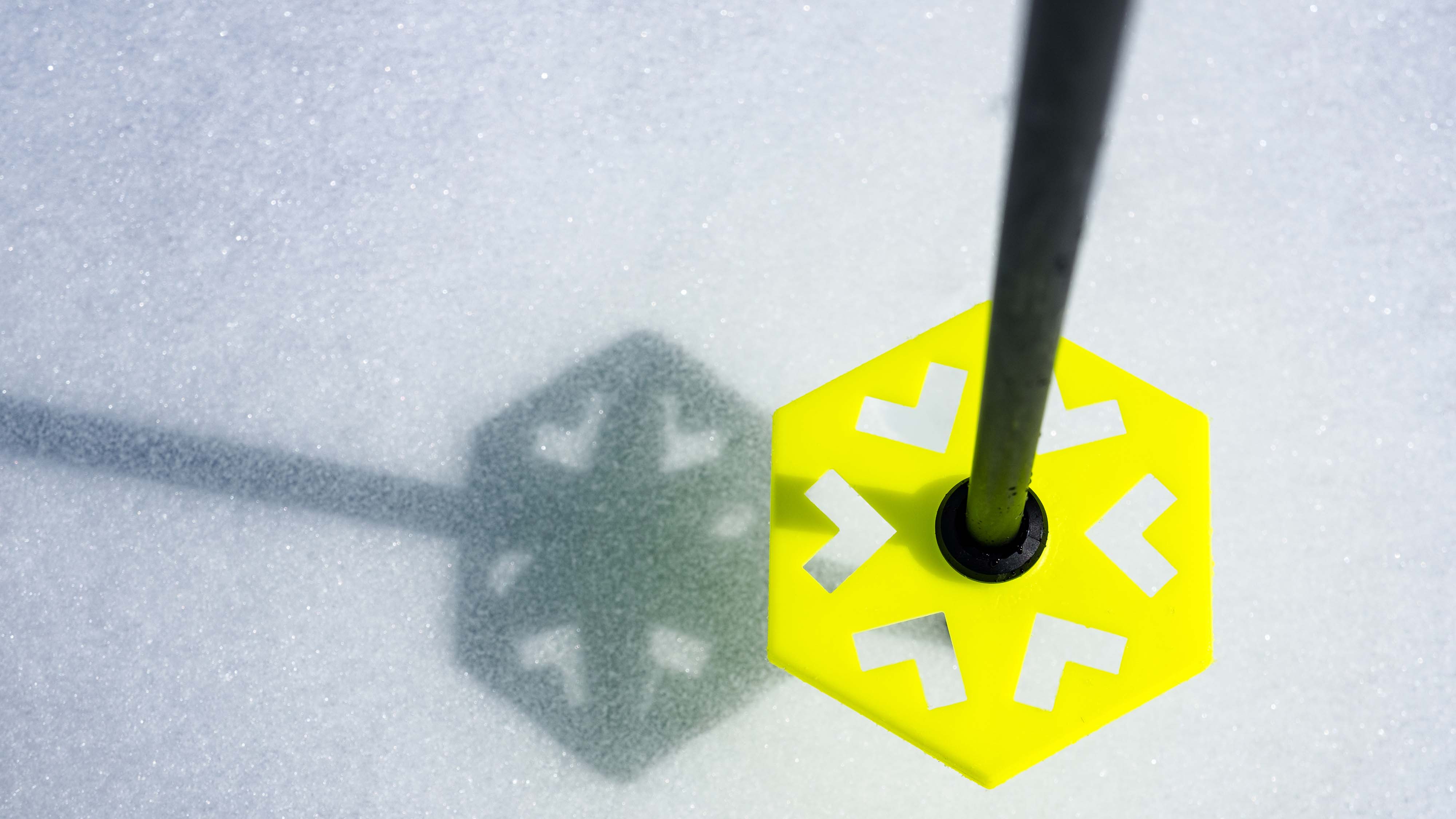 Duos Freebird Poles - Image 18