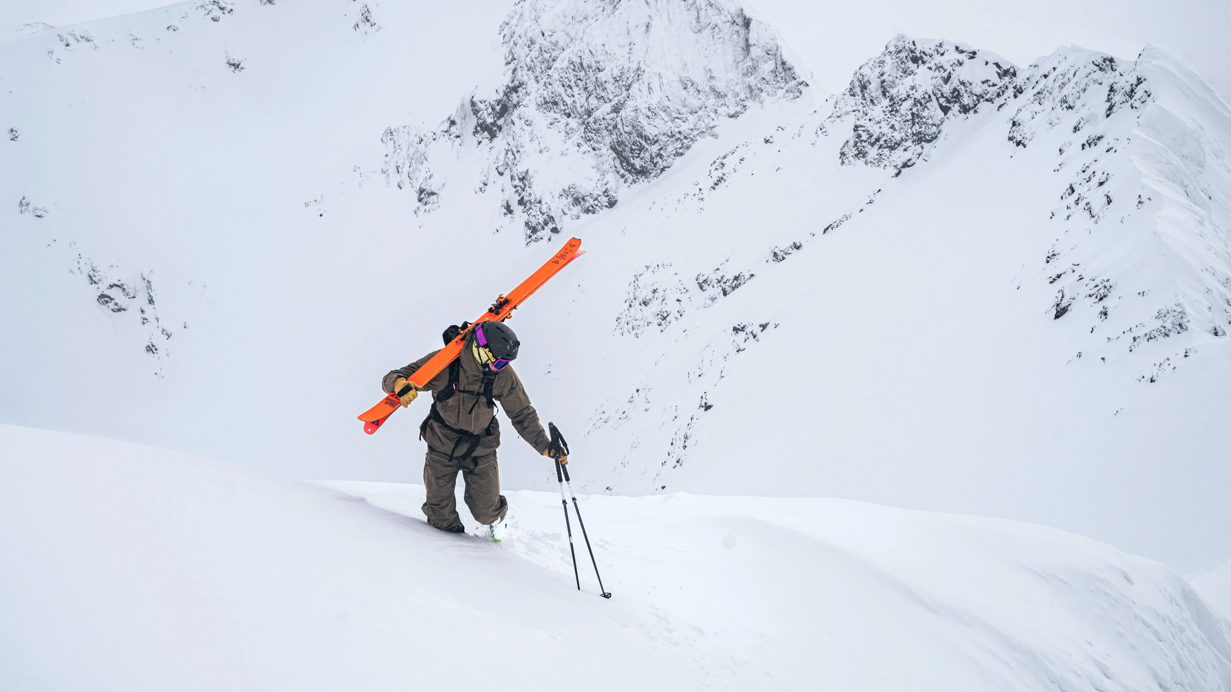 Draco Freebird - Image 4