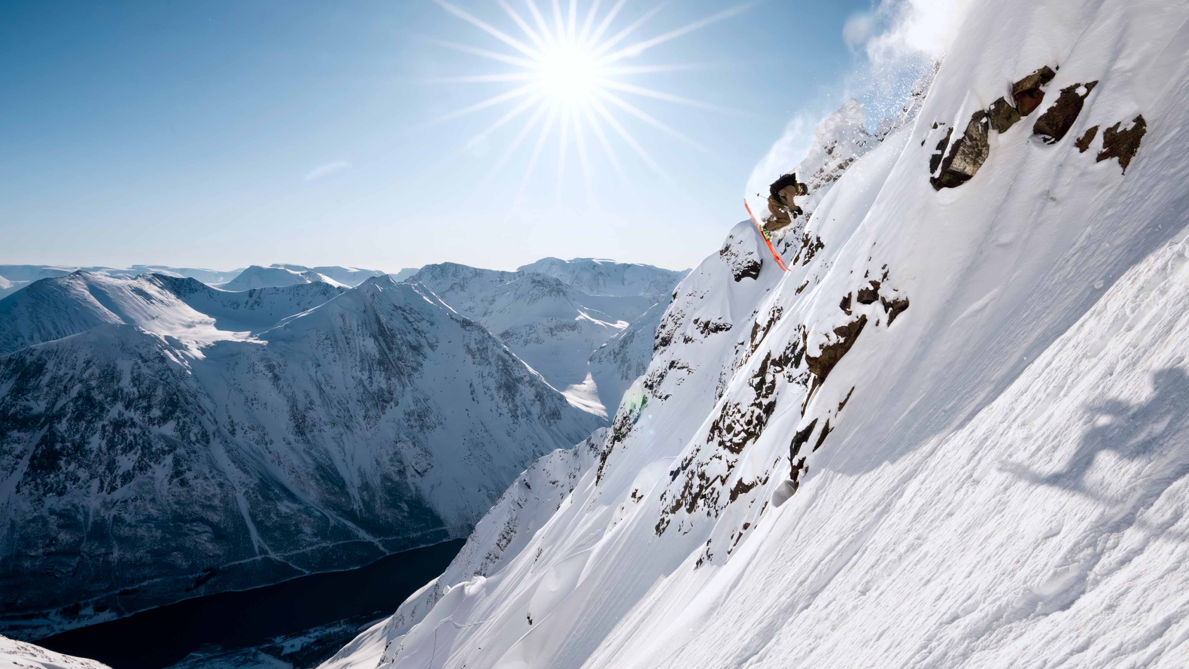 Draco Freebird - Image 5