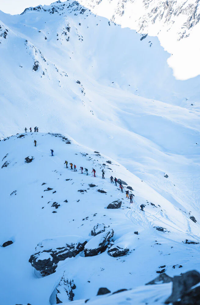 Ski Sauvage Meta Poles - Image 4