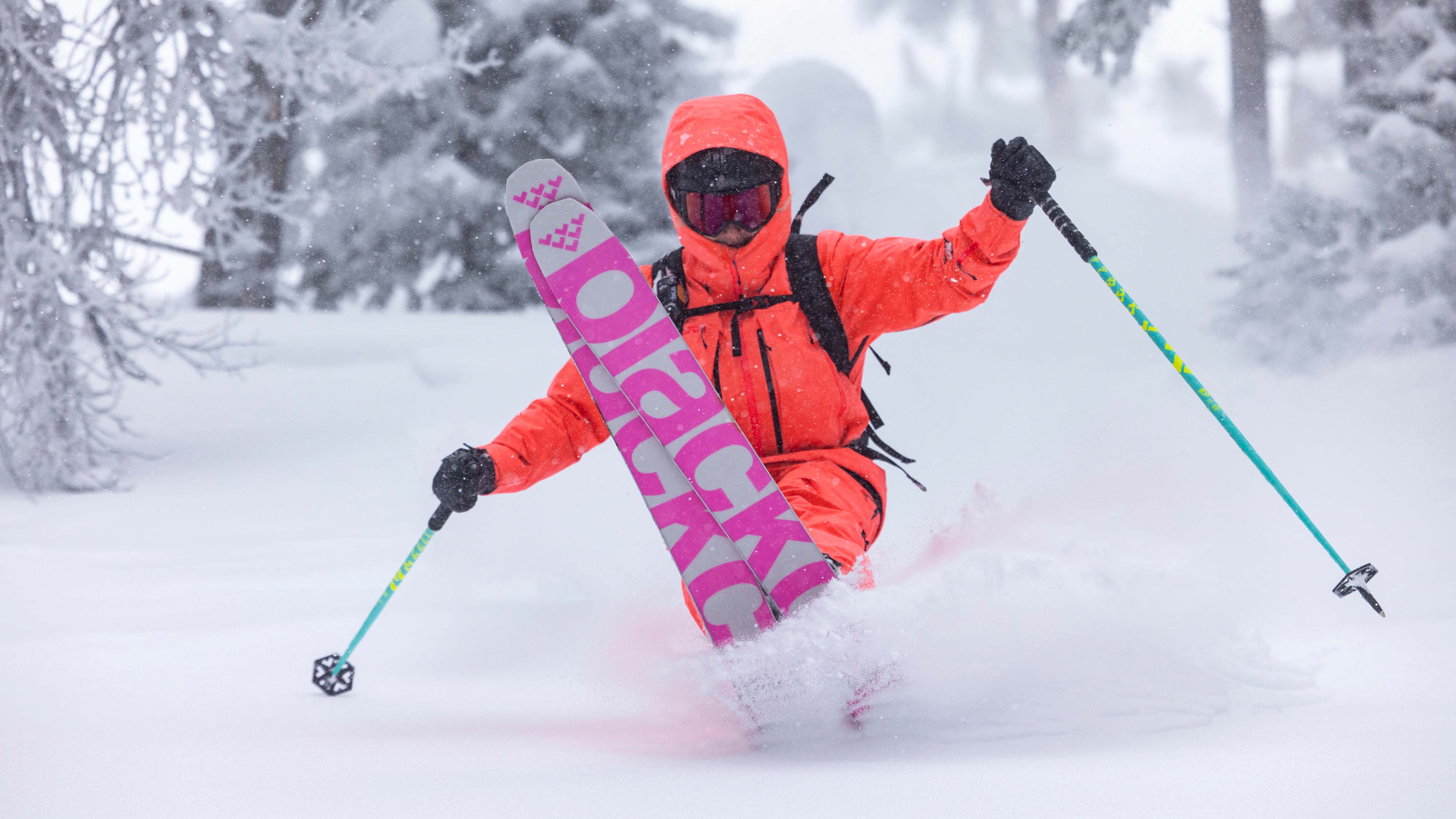 Anima Birdie - Image 5