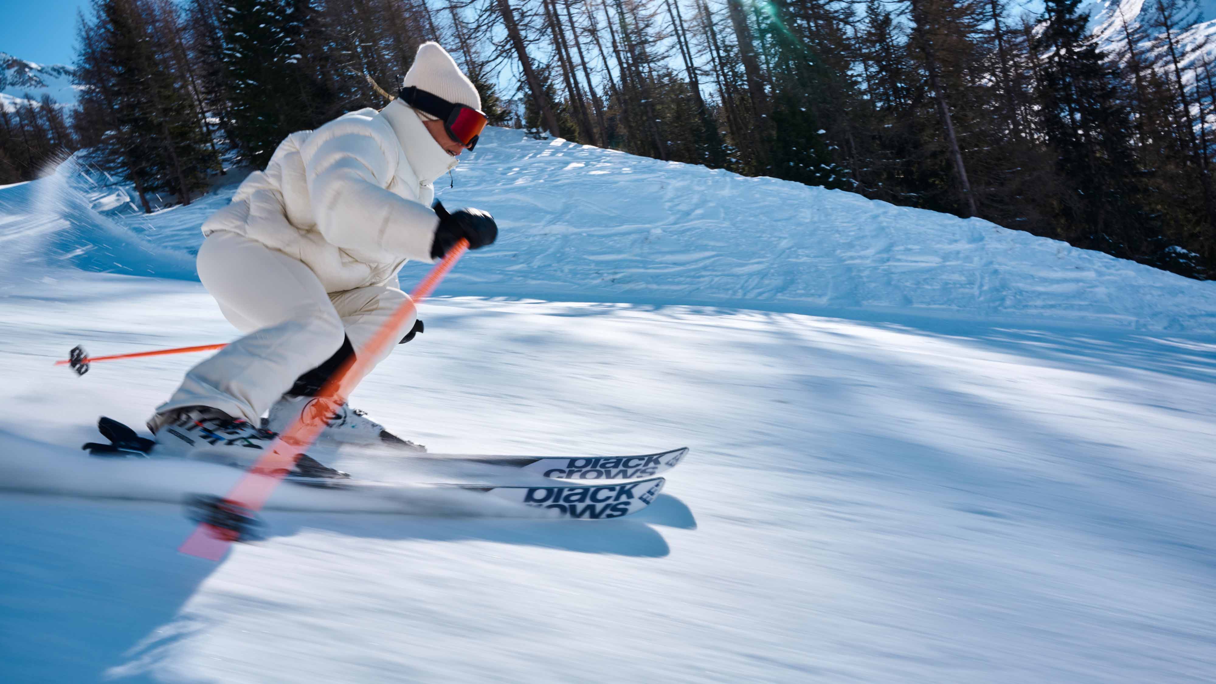 Sato Birdie - Image 4