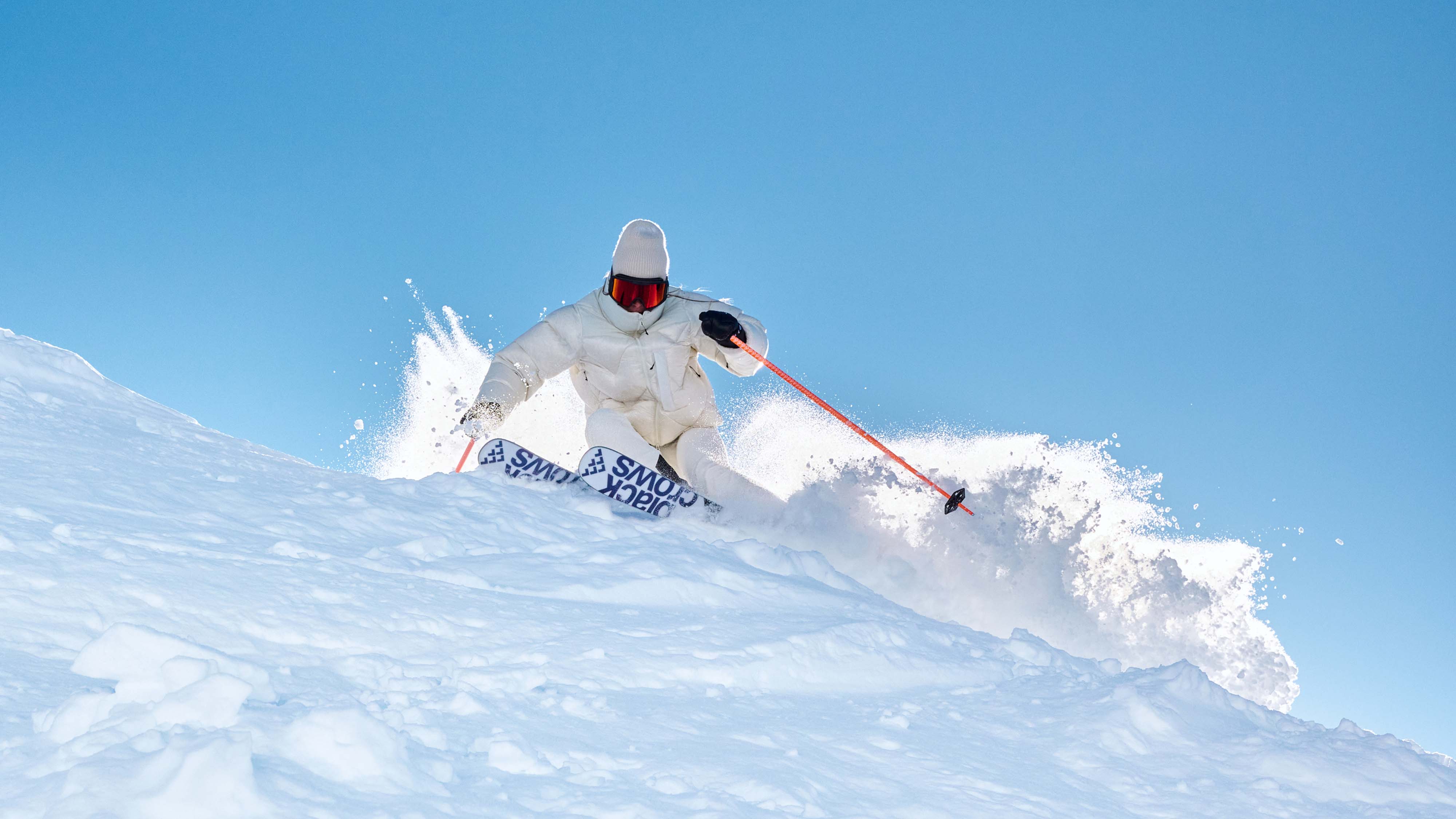 Sato Birdie - Image 5