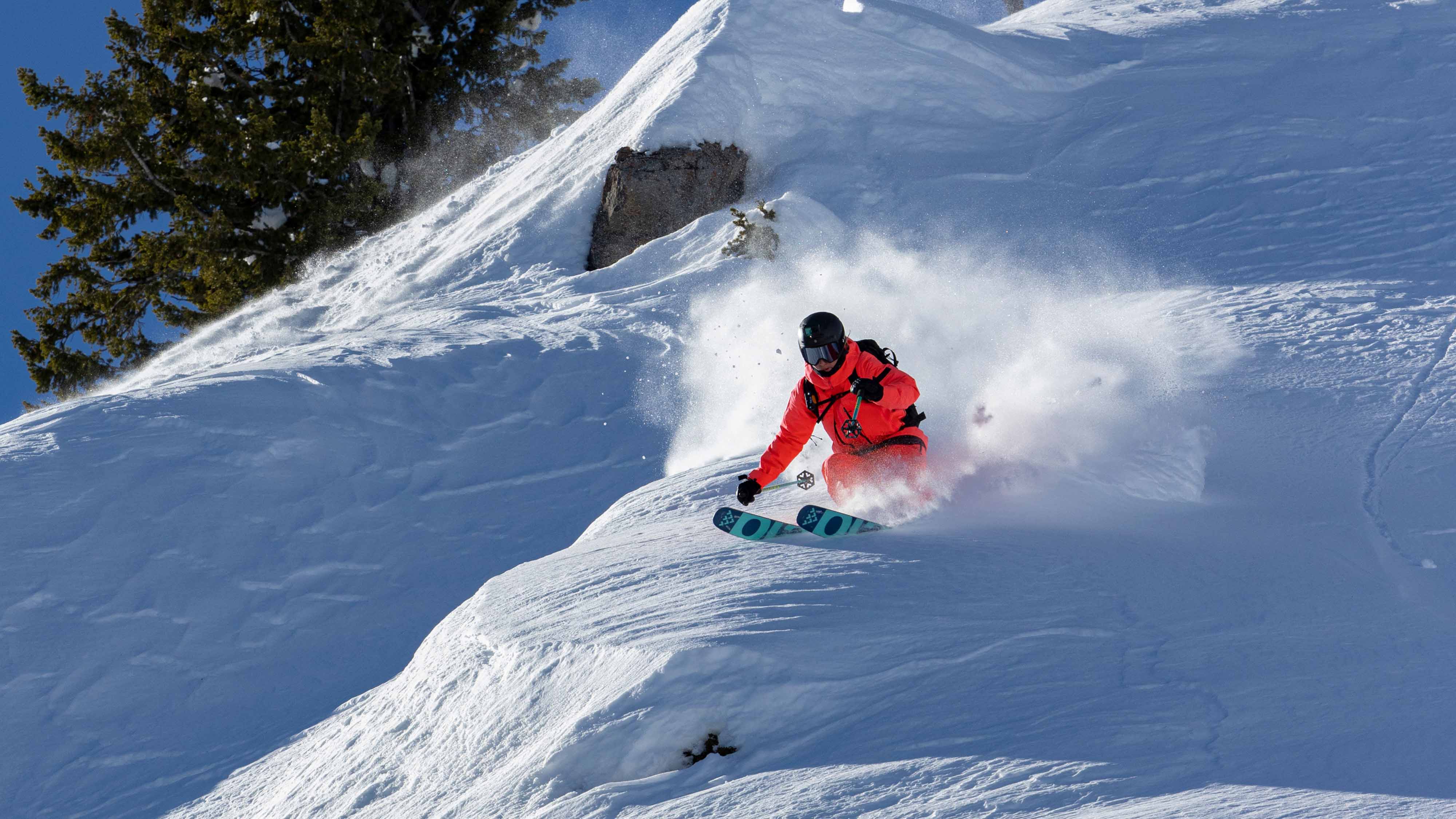 Atris Birdie - Image 4