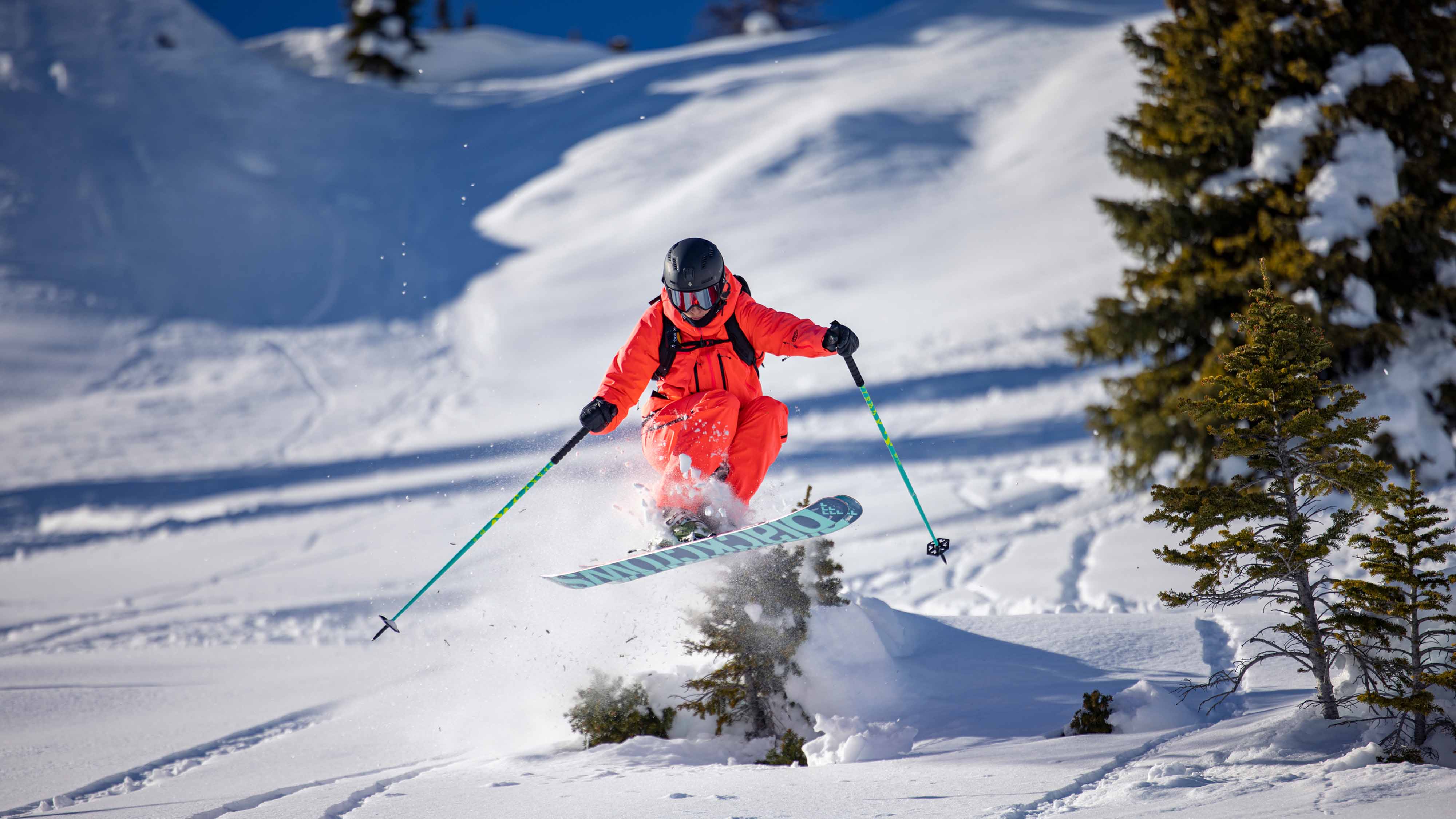 Atris Birdie - Image 5