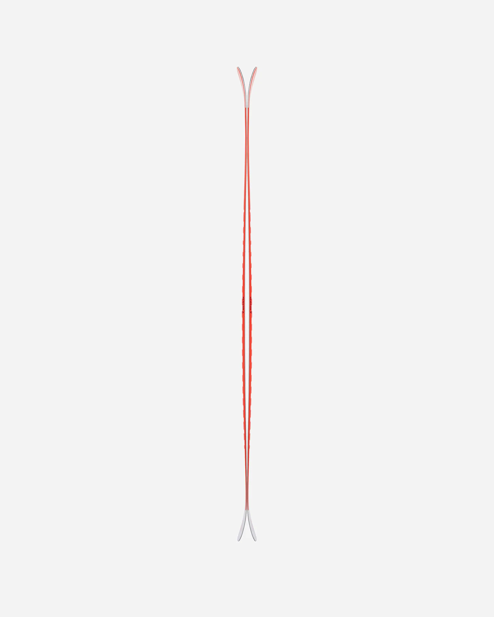 Camox Birdie Jr - Image 3